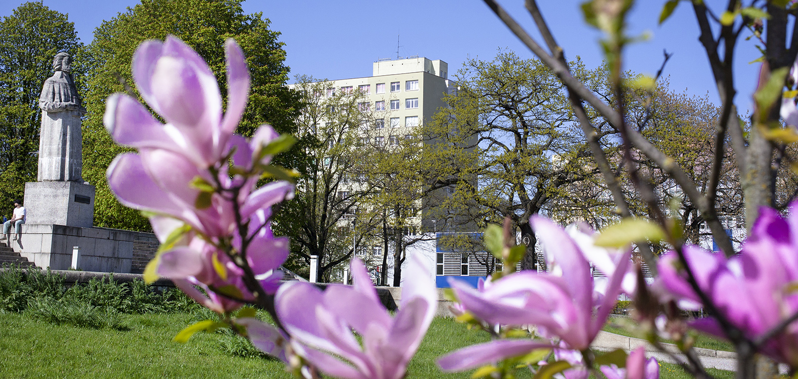 MUS Student's hall Korab, view from the park