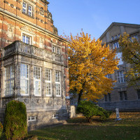 Jesienne kolory bluszczu na budynku Politechniki Morskiej w Szczecinie