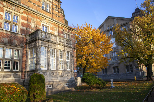 Jesienne kolory bluszczu na budynku Politechniki Morskiej w Szczecinie