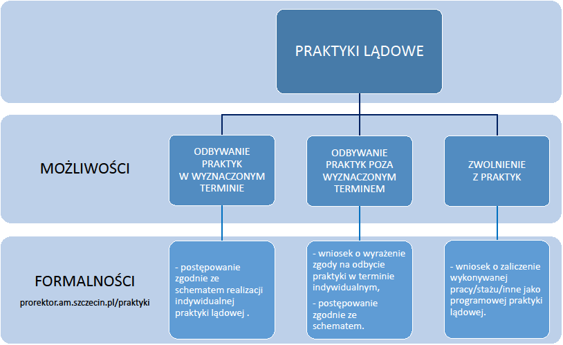 Schemat praktyk