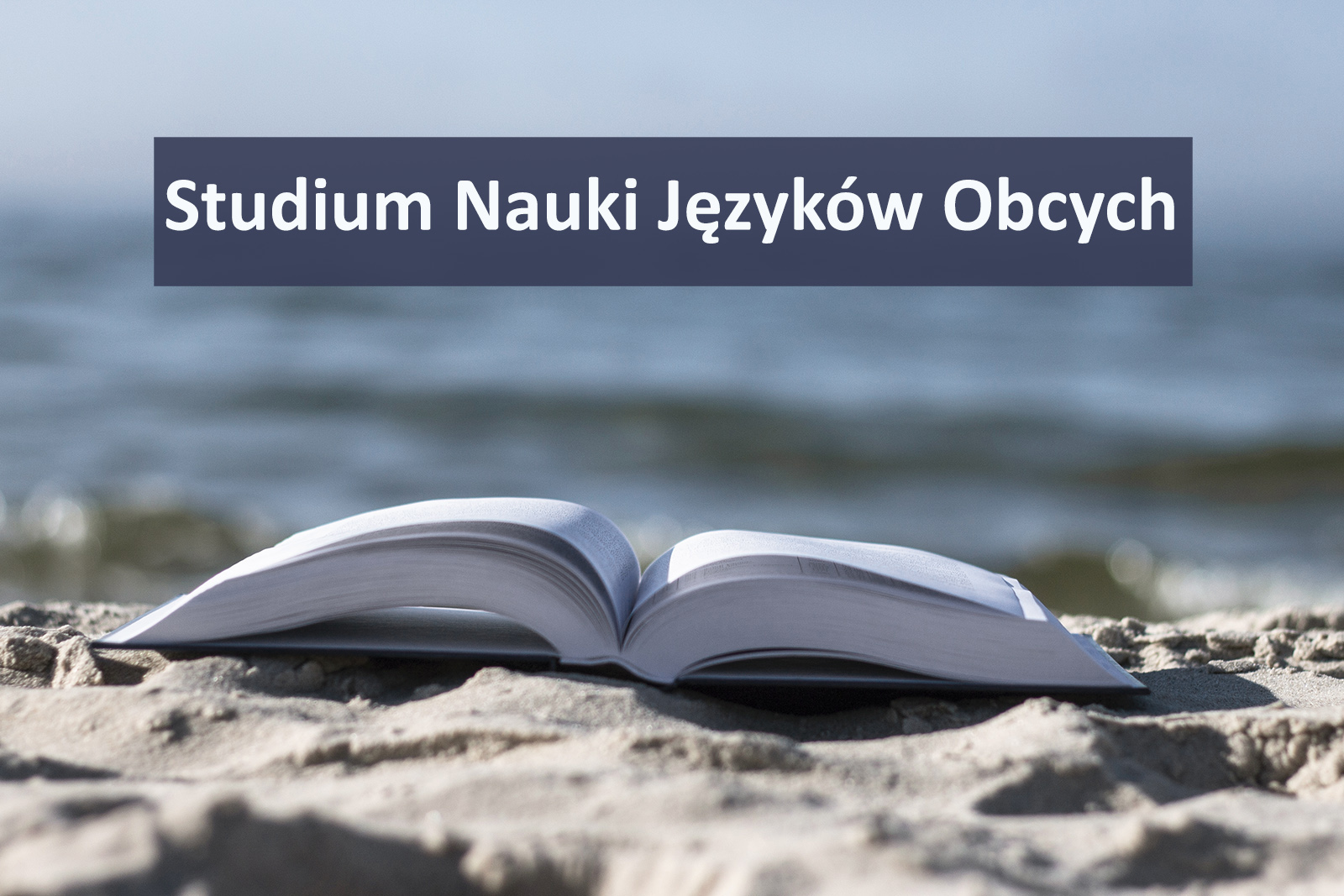 książka na plaży+ Studium Nauki Języków Obcych (SNJO)